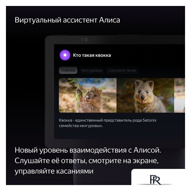 Колонка с умным дисплеем Яндекс Станция Дуо Макс (черный) - Изображение №5 — Интернет-магазин ПроЗаказ