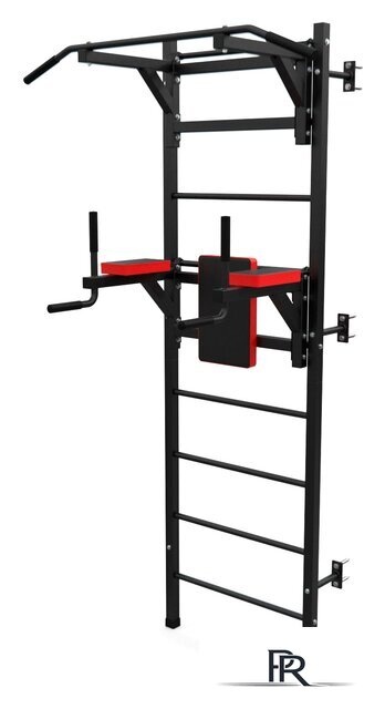 Шведская стенка (лестница) DFC D-123 - Изображение №1 — Интернет-магазин ПроЗаказ