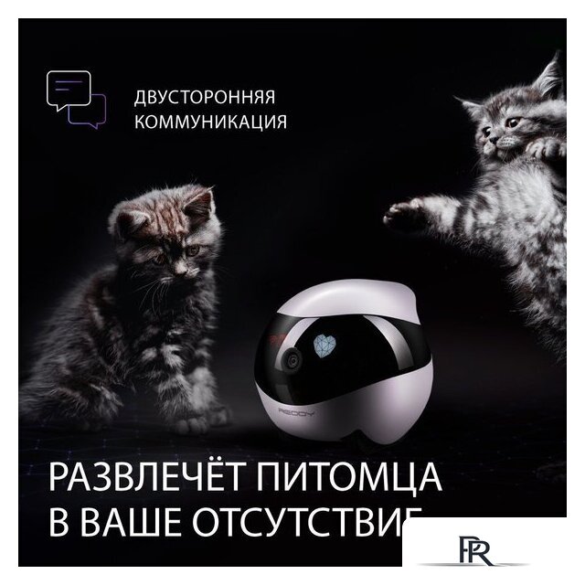 Умный робот-друг RED Solution Reddy SE - Изображение №6 — Интернет-магазин ПроЗаказ