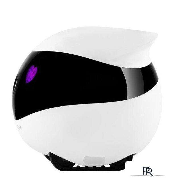 Умный робот-друг RED Solution Reddy SE - Изображение №3 — Интернет-магазин ПроЗаказ