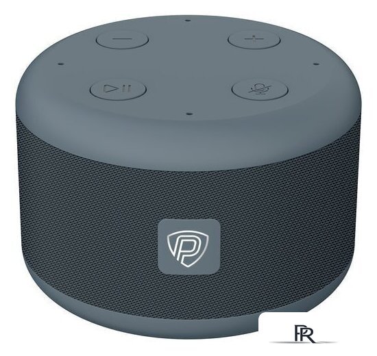 Умная колонка Prestigio SmartVoice (темно-серый) - Изображение №1 — Интернет-магазин ПроЗаказ