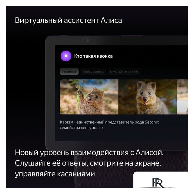 Колонка с умным дисплеем Яндекс Станция Дуо Макс (красный) - Изображение №5 — Интернет-магазин ПроЗаказ