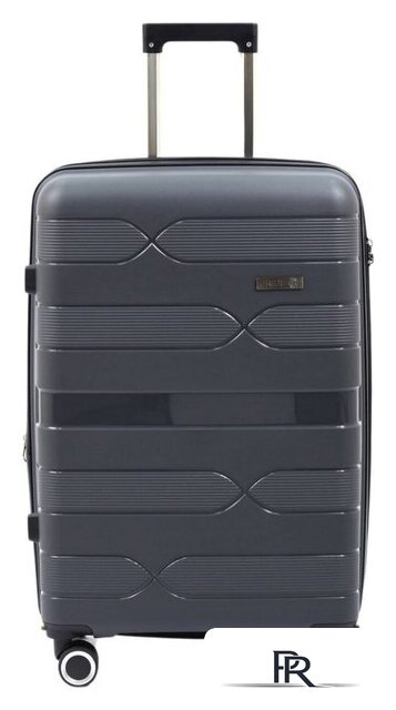 Чемодан-спиннер Pride РР-204 (S, серый) - Изображение №1 — Интернет-магазин ПроЗаказ