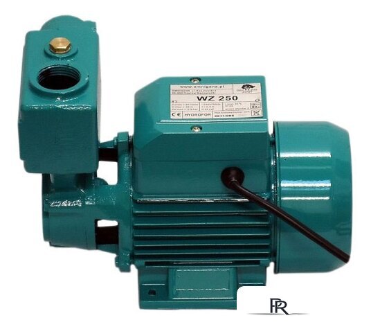 Самовсасывающий насос OMNIGENA WZ 250 - Изображение №1 — Интернет-магазин ПроЗаказ