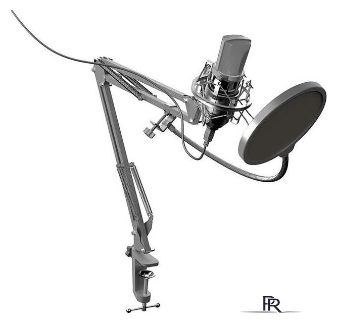 Проводной микрофон Ritmix RDM-169 - Изображение №1 — Интернет-магазин ПроЗаказ