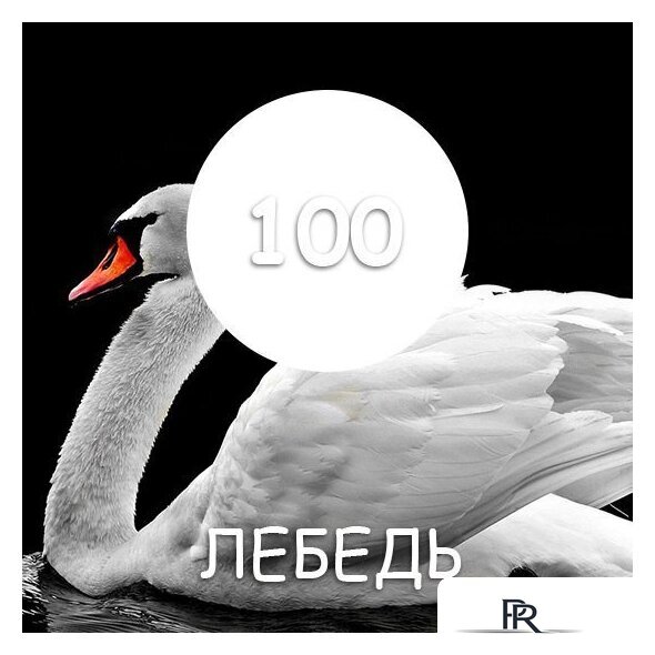 Краска Maxima резиновая 11 кг (№100 Лебедь) - Изображение №2 — Интернет-магазин ПроЗаказ