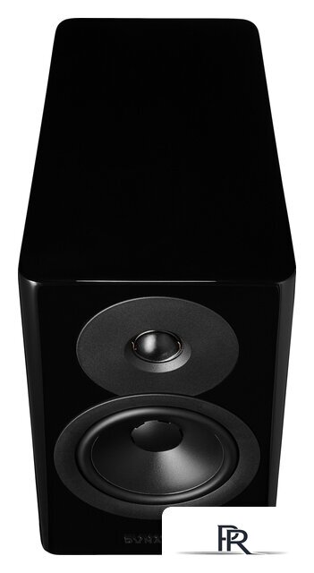 Полочная акустика Dynaudio Evoke 10 (черный рояльный лак) - Изображение №3 — Интернет-магазин ПроЗаказ