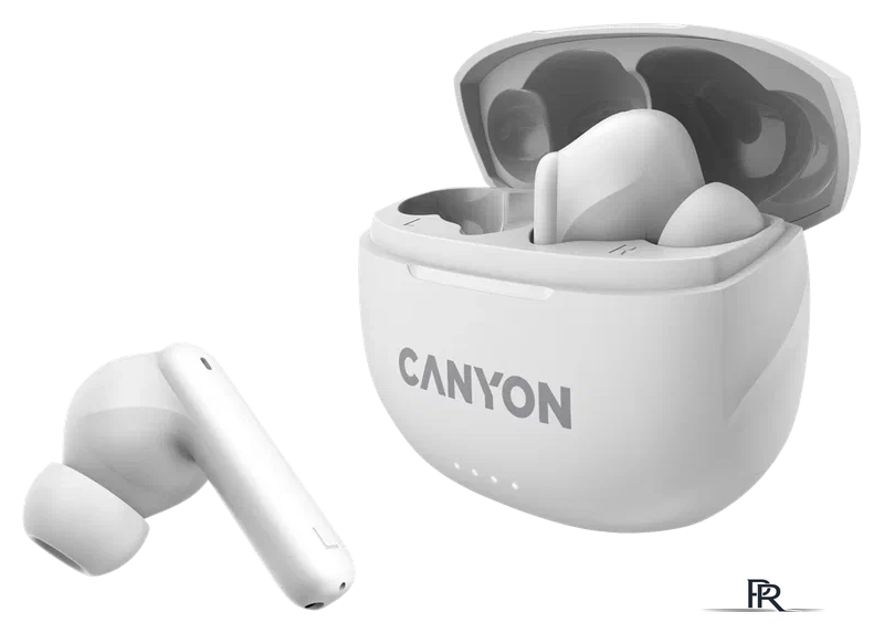 Наушники Canyon TWS-8 (белый) - Изображение №1 — Интернет-магазин ПроЗаказ