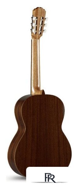 Акустическая гитара Alhambra 1C HT 3/4 - With 10-mm Gigbag - Изображение №3 — Интернет-магазин ПроЗаказ