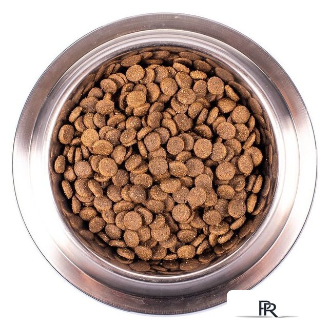 Сухой корм для собак Monge Speciality Line Puppy & Junior Lamb&Rice (12 кг) - Изображение №5 — Интернет-магазин ПроЗаказ