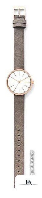 Наручные часы Skagen SKW2644 - Изображение №3 — Интернет-магазин ПроЗаказ