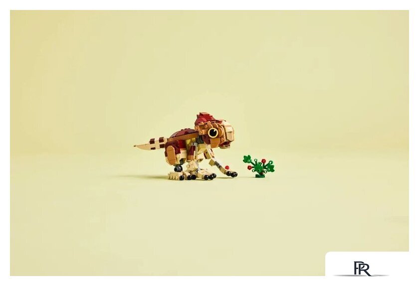 Конструктор LEGO Jurassic World Детёныш динозавра Долорес: Аквилопс 76970 - Изображение №12 — Интернет-магазин ПроЗаказ