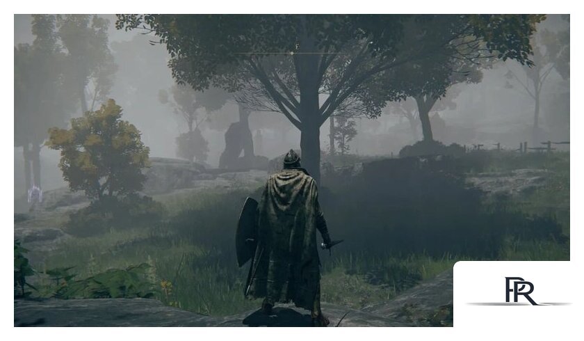  Elden Ring: Shadow of the Erdtree Edition для PlayStation 5 - Изображение №13 — Интернет-магазин ПроЗаказ