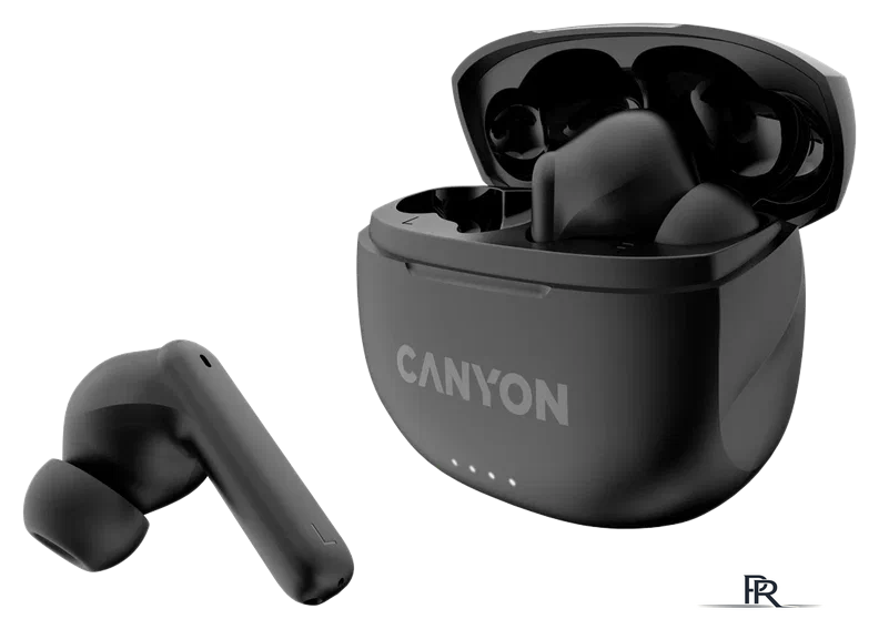 Наушники Canyon TWS-8 (черный) - Изображение №1 — Интернет-магазин ПроЗаказ