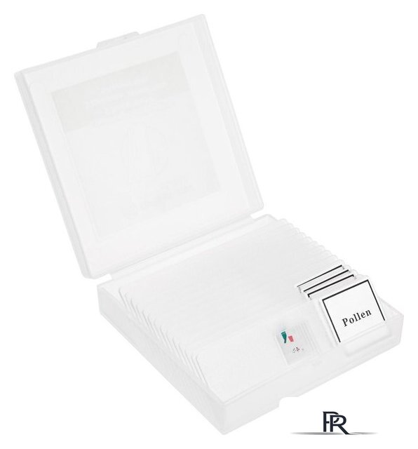 Детский микроскоп Bresser Junior Biotar 300–1200x 74315 - Изображение №10 — Интернет-магазин ПроЗаказ