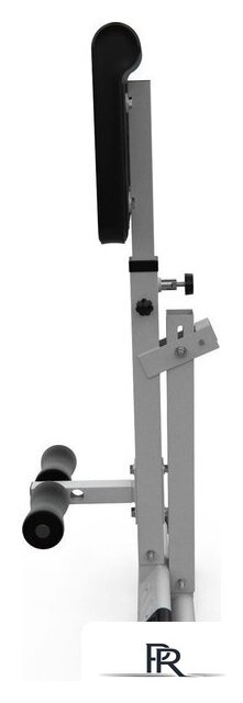 Римский стул DFC Homegym SJ1006 (белый) - Изображение №5 — Интернет-магазин ПроЗаказ
