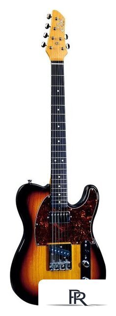 Электрогитара EKO Tero V-NOS Sunburst - Изображение №1 — Интернет-магазин ПроЗаказ