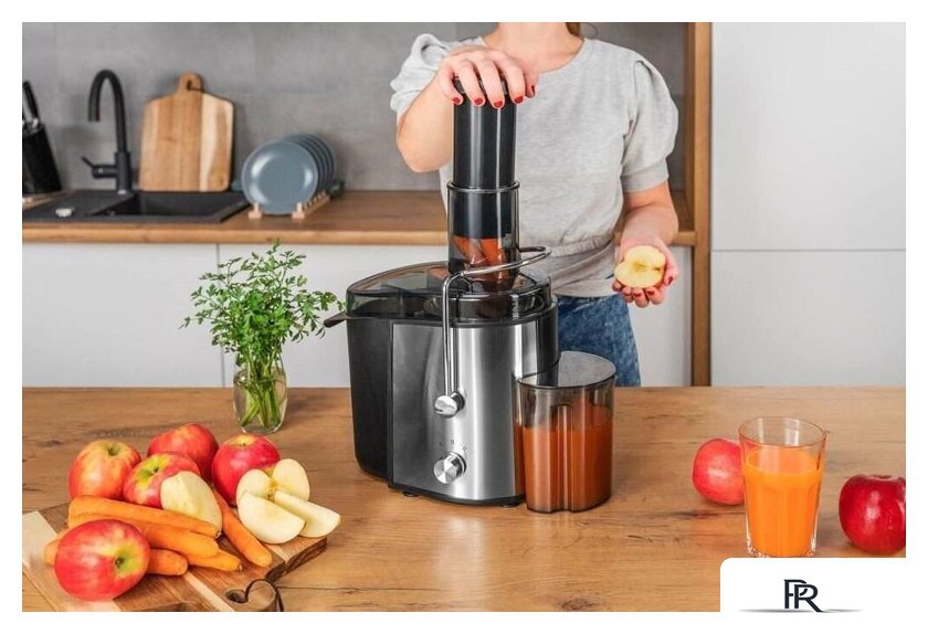 Соковыжималка Goetze & Jensen JM501X - Изображение №3 — Интернет-магазин ПроЗаказ