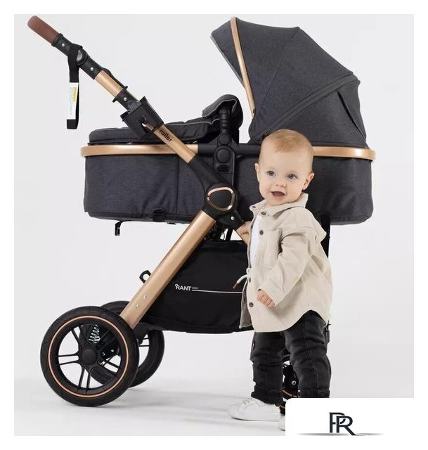 Универсальная коляска Rant Basic Roller Gold RA161 (2 в 1, grey) - Изображение №35 — Интернет-магазин ПроЗаказ