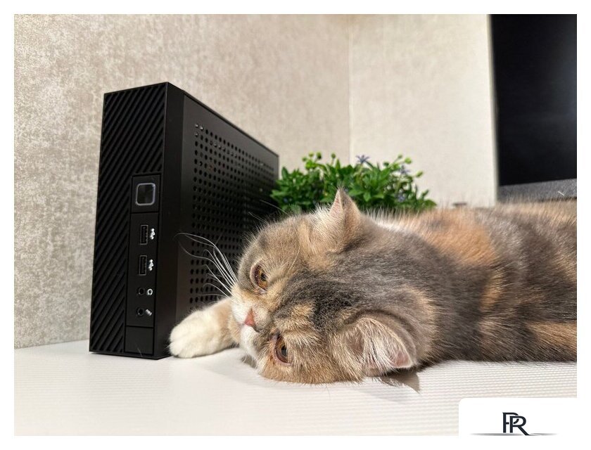 Компактный компьютер Jet Office 5i347D16SD24VGAM1W1 - Изображение №4 — Интернет-магазин ПроЗаказ