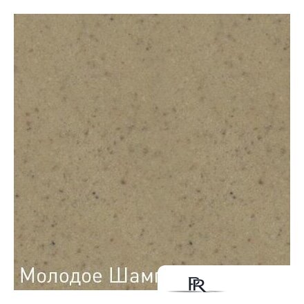 Кухонная мойка Zigmund & Shtain Kreis 505F (молодое шампанское) - Изображение №2 — Интернет-магазин ПроЗаказ