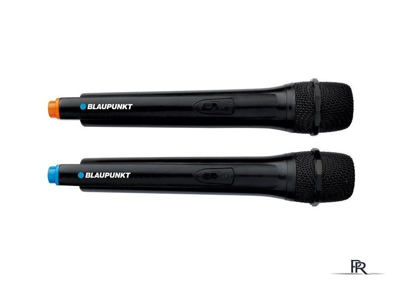 Патибокс Blaupunkt PB12DB - Изображение №3 — Интернет-магазин ПроЗаказ