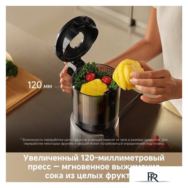 Соковыжималка Trouver Slow Juicer SJ10 - Изображение №11 — Интернет-магазин ПроЗаказ