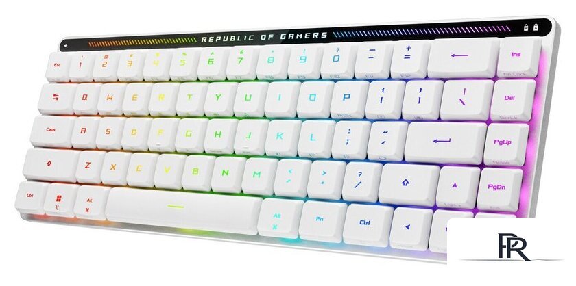 Клавиатура ASUS ROG Falchion RX Low Profile (ASUS ROG RX Red, белый) - Изображение №2 — Интернет-магазин ПроЗаказ