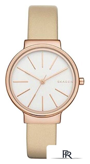 Наручные часы Skagen SKW2481 - Изображение №1 — Интернет-магазин ПроЗаказ