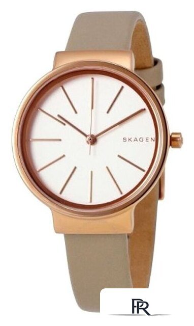 Наручные часы Skagen SKW2481 - Изображение №2 — Интернет-магазин ПроЗаказ