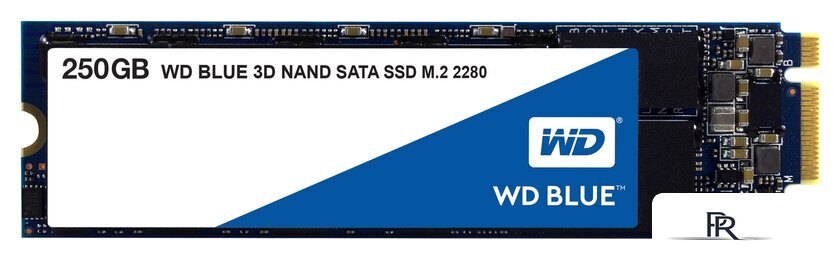 SSD WD Blue 3D NAND 250GB [WDS250G2B0B] - Изображение №1 — Интернет-магазин ПроЗаказ