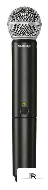 Радиосистема Shure BLX24RE/SM58 - Изображение №10 — Интернет-магазин ПроЗаказ