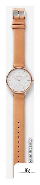 Наручные часы Skagen SKW2405 - Изображение №3 — Интернет-магазин ПроЗаказ
