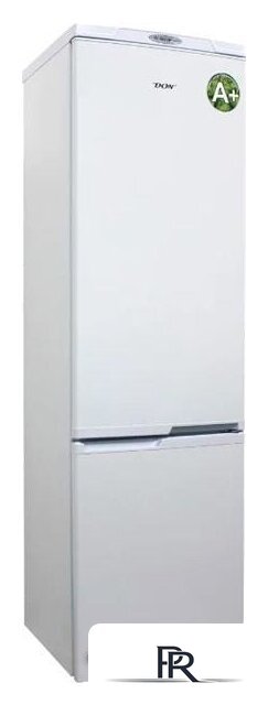 Холодильник Don R-295 BI - Изображение №1 — Интернет-магазин ПроЗаказ