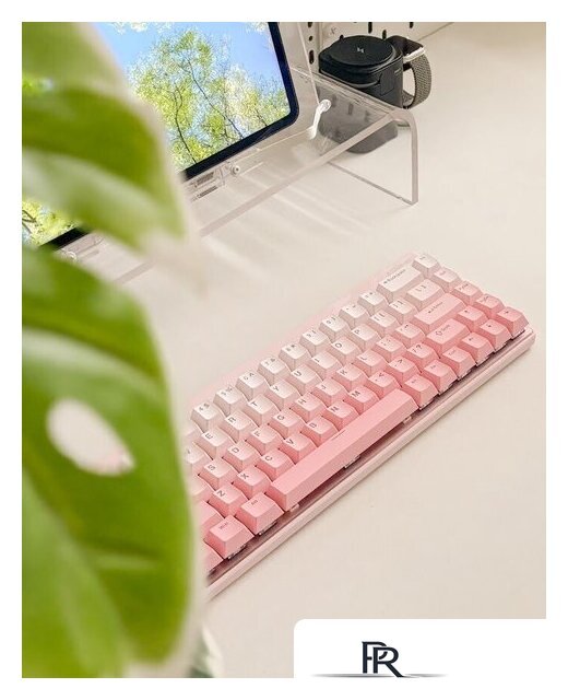 Клавиатура MCHOSE Ace 68 Air HE Peach Gradient (Kailh Magnetic God) - Изображение №4 — Интернет-магазин ПроЗаказ