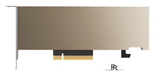 Видеокарта NVIDIA A2 16GB GDDR6 900-2G179-0020-000 - Изображение №3 — Интернет-магазин ПроЗаказ