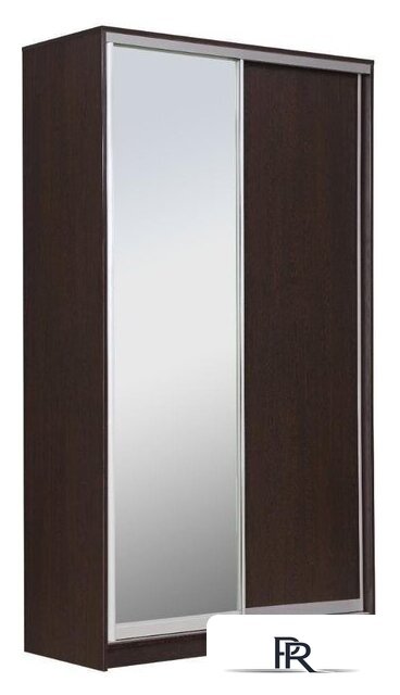 Шкаф-купе Рэйгрупп 158450 VVX Elgon РГ-10.02 (венге/хром) - Изображение №1 — Интернет-магазин ПроЗаказ