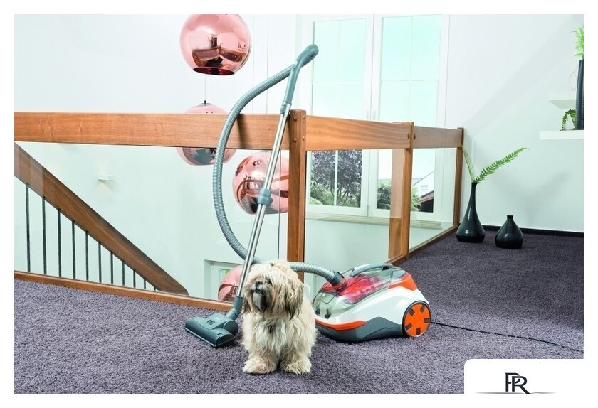 Пылесос Thomas DryBOX+AquaBOX CAT & DOG 786554 - Изображение №10 — Интернет-магазин ПроЗаказ