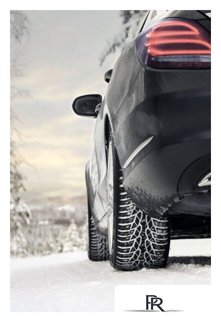 Зимние шины Nokian Tyres WR D4 225/45R17 91H - Изображение №4 — Интернет-магазин ПроЗаказ