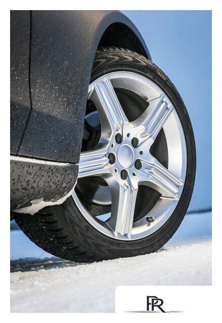 Зимние шины Nokian Tyres WR D4 225/45R17 91H - Изображение №5 — Интернет-магазин ПроЗаказ