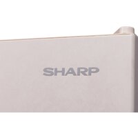 Холодильник Sharp SJ-653GHXJ52R - Превью изображения №5 — Интернет-магазин ПроЗаказ