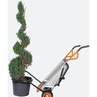 Двухколесная тачка Worx WG050 Aerocart - Превью изображения №4 — Интернет-магазин ПроЗаказ