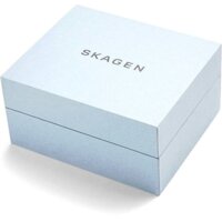 Наручные часы Skagen SKW1102 - Превью изображения №4 — Интернет-магазин ПроЗаказ