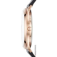 Наручные часы Skagen SKW1102 - Превью изображения №2 — Интернет-магазин ПроЗаказ
