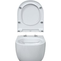 Унитаз подвесной Berges Wasserhaus Ego XL Rimless + Toma Slim SO + Novum525 + L3 043203 - Превью изображения №6 — Интернет-магазин ПроЗаказ