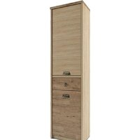 Anrex Diesel 2D1S/D1 Дуб Мадура/Веллингтон