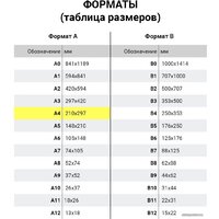 Пленка для ламинирования BRAUBERG Brauberg А4 175 мкм 100 шт 531795 (глянцевый, прозрачный) - Превью изображения №7 — Интернет-магазин ПроЗаказ