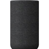 Колонки объемного звука Sony SA-RS5 - Превью изображения №2 — Интернет-магазин ПроЗаказ