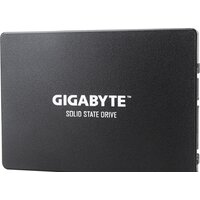 Gigabyte 256GB GP-GSTFS31256GTND