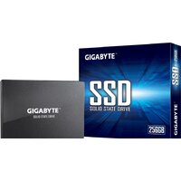 SSD Gigabyte 256GB GP-GSTFS31256GTND - Превью изображения №4 — Интернет-магазин ПроЗаказ